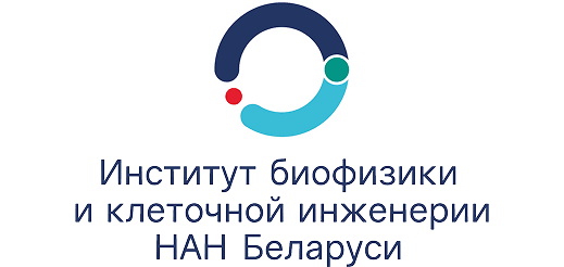 ОКТ НАН